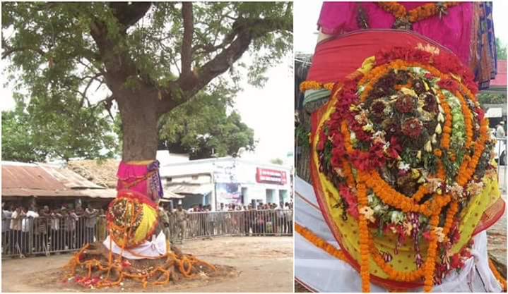 balabhadra daru nabakaleba