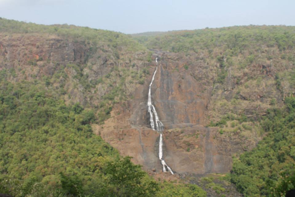 Similipal National park bhubaneswar buzz 8