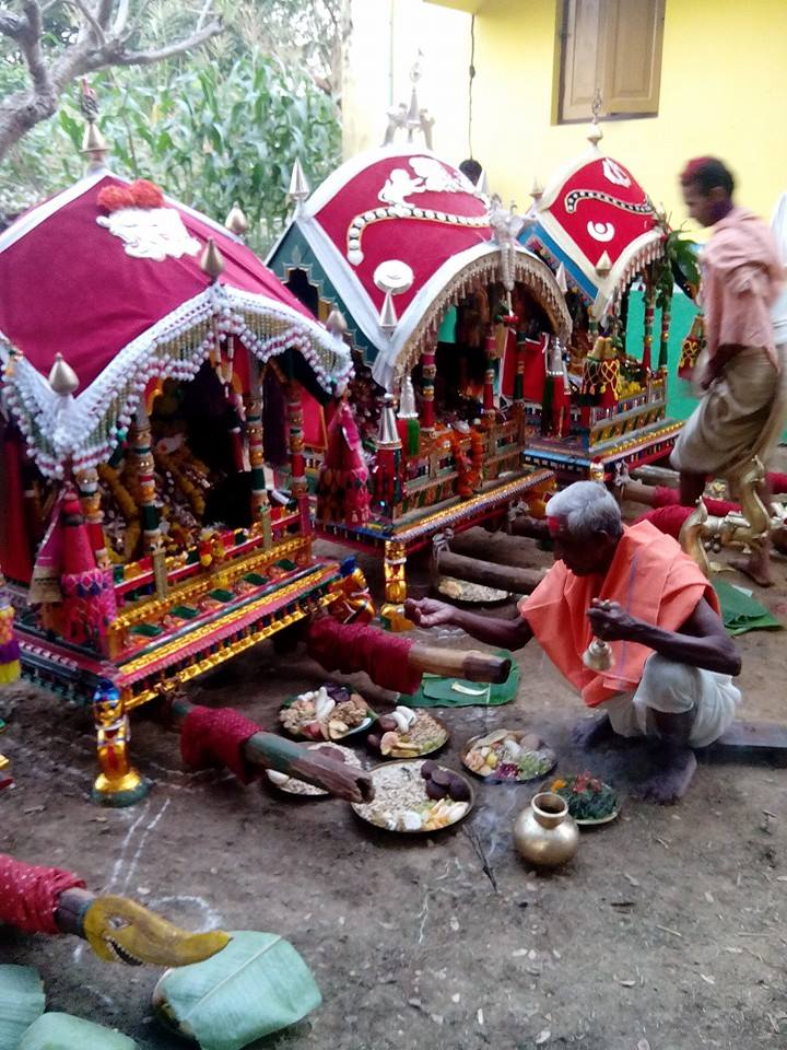 dola purnima celebration