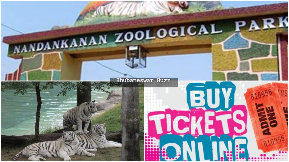 Nandankanan Zoo goes online ticketing route to ease visitors standing