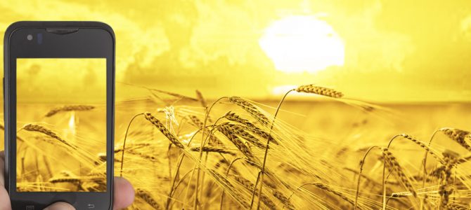 Jindal Stainless and a Japanese firm tie up to incubate agriculture technology start-ups in bhubaneswar and Gurugram