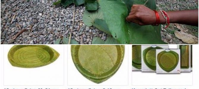 Ranchi Startup gets order of 3,00,000 leaf plates per month from France, ties up with Odisha villagers
