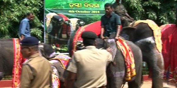 Nandankanan Zoo celebrates Elephant Day