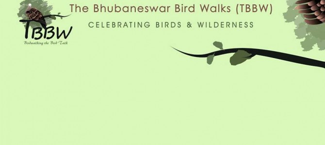 Awesome journey of Bhubaneswar Bird Walks Community  – 50 weeks of birdwalk