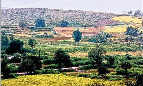 Have you seen the Kashmir of Odisha ‘Daringbadi’ yet?