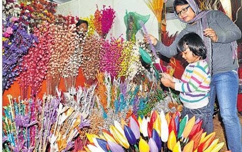 National Toshali Crafts Mela 2014 starts in Bhubaneswar