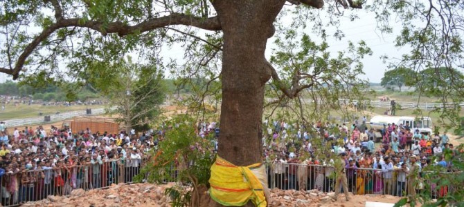 Jagannath Nabakalebar : Legend Behind Lord Sudarshan shape as a pole