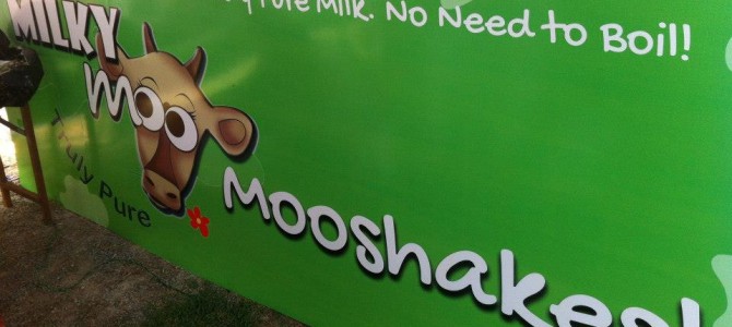 Odisha based Diary Startup Milk Mantra goes national with Health Drinks launch