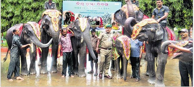 World Elephant Day celebrated in Nandankanan Zoo Bhubaneswar