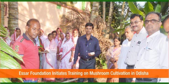 Essar Foundation Initiates Training on Mushroom Cultivation in Odisha