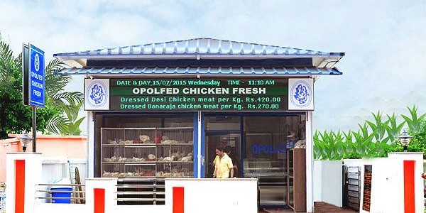 53 more Chicken Fresh Outlets to come up all over Odisha