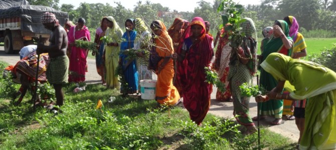 Odisha Women show the way : How to use Whistling to stop Open Defecation by Better India