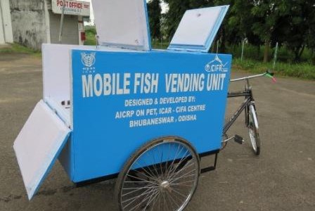 Bhubaneswar based CIFA designs advanced Fish Vending Cart