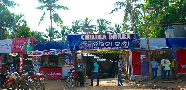 Chilika Dhaba Features in this article of top 13 in the country by India Times