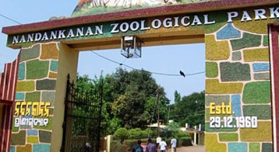 Nandankanan Zoo in Bhubaneswar reopens Nocturnal Animals Enclosure