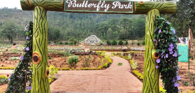 Daringbadi : The kashmir of Odisha gets a Butterfly park