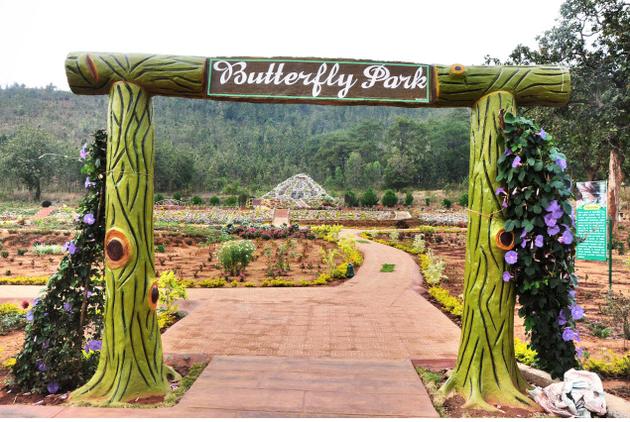 butterfly park daringbadi kashmir of odisha bbsrbuzz
