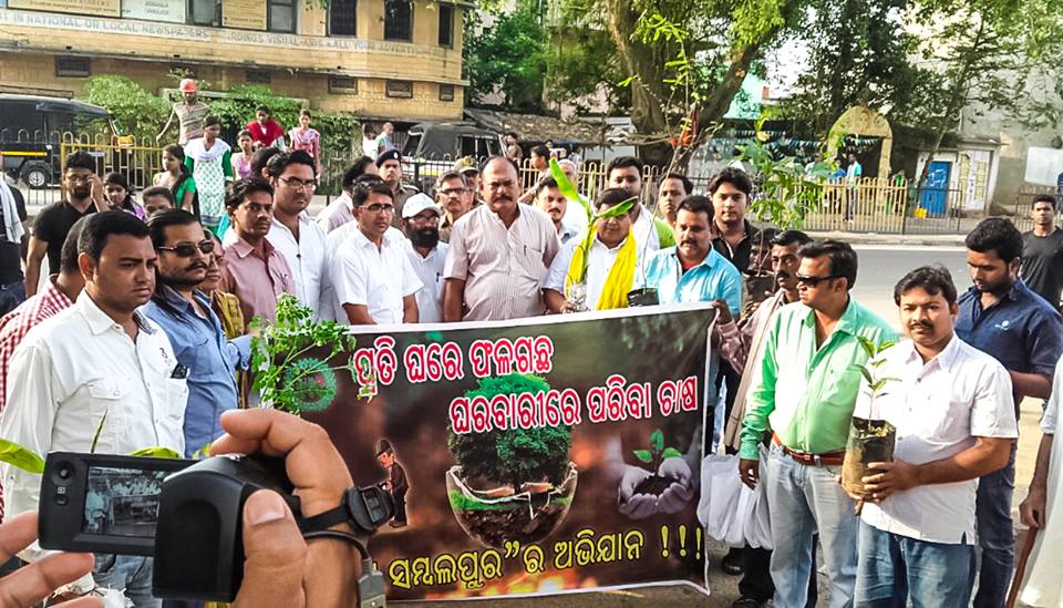 Yuva Sambalpur One fruit plant campaign