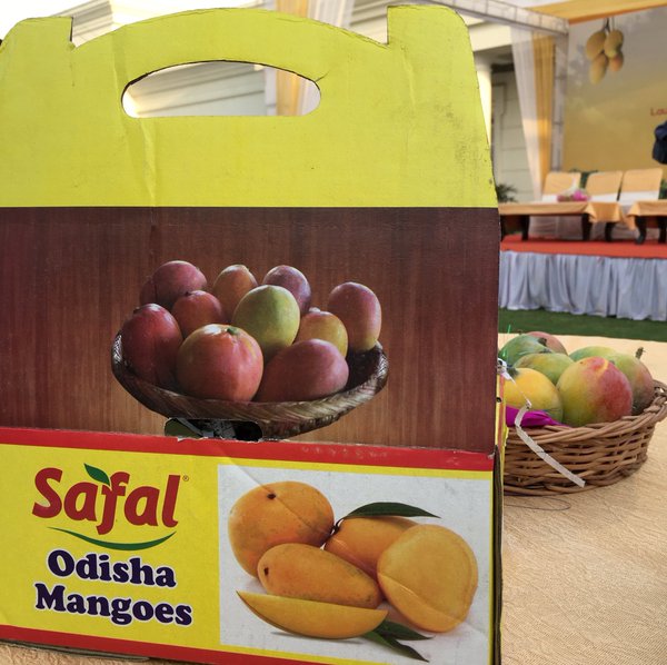 safal odisha mangoes marketing bbsrbuzz