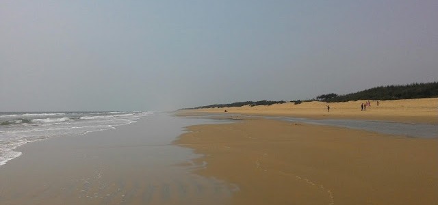 Why Chandrabhaga beach is better than Puri beach : A blog by Sinchan Das