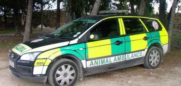 Ambulance Service for Animals in Odisha to start from October