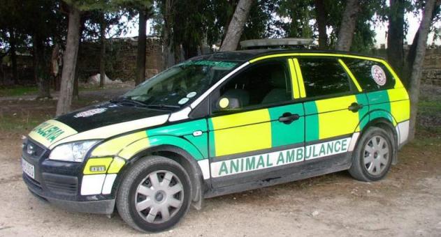 Ambulance Service for Animals in Odisha to start from October - Bhubaneswar  Buzz