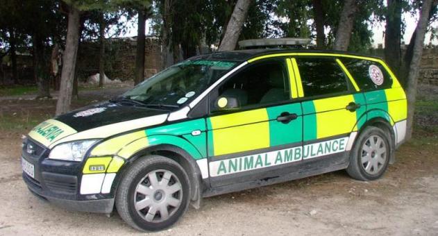Ambulance Service for Animals in Odisha to start from October - Bhubaneswar Buzz Ambulance Service for Animals in Odisha to start from October - Bhubaneswar Buzz