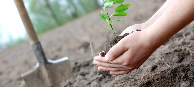 Satyanarayan Das : Man from Odisha who has planted trees in 15 states already