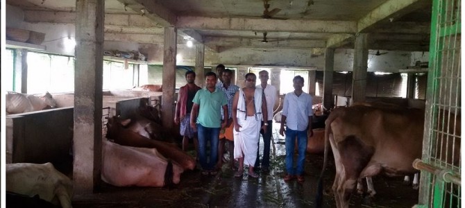 From IIT Kharagpur Alumni, to IT companies, to now Dairy Farm in his village in Kendrapada