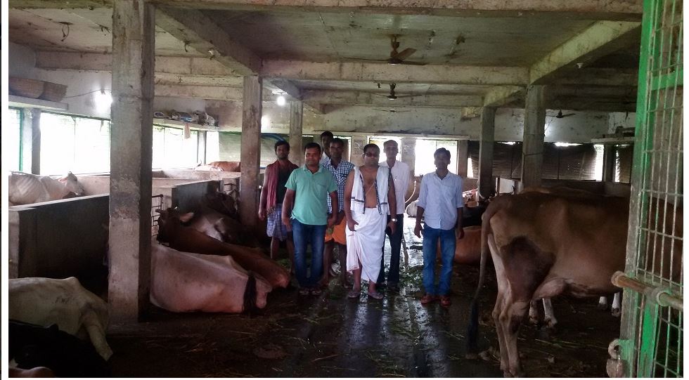 Nihar Ranjan behura IIT kharagpur to Dairy farm