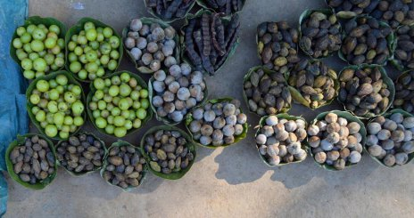 Odisha express koraput jungle produce bbsrbuzz 3