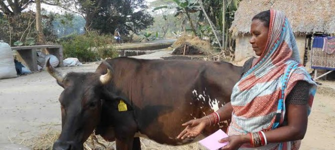 Odisha sets Indian farm sector growth agenda by Bishnupada Sethi