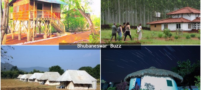 Odisha Tourism says 30 ecotourism sites ready to attract high end tourists