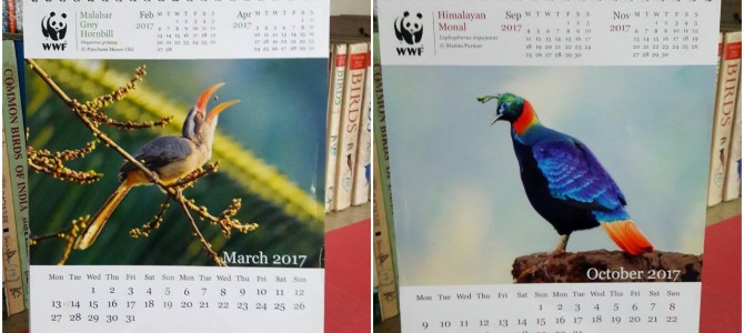 #GirlPower : co-birders from Bhubaneswar Bird Walks, have photographs in WWF’s Nature Calendar 2017