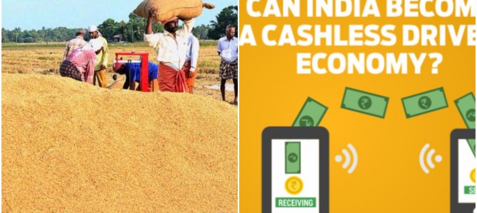 Demonitisation : Paddy Procurement Goes Cashless in Ganjam District