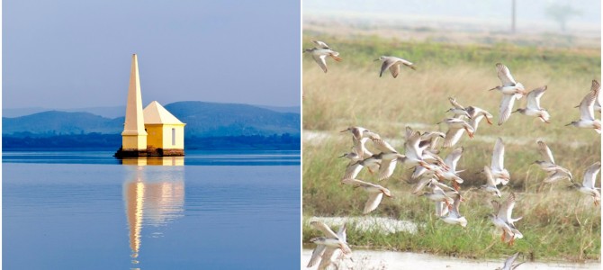 IPI Global Consultancy prepares report for Rambha, Mangalajodi and Satapada Tourism Zones in Chilika