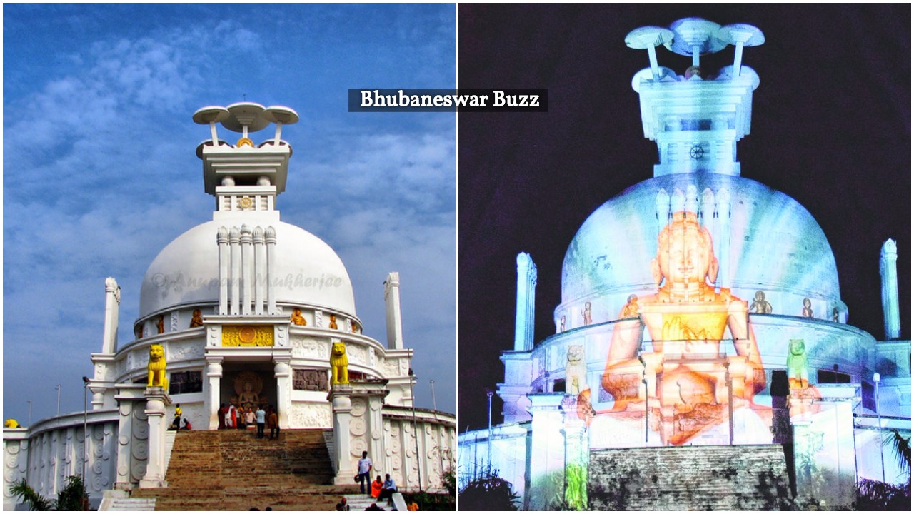 Dhauligi bhubaneswar buzz buddhist tourism