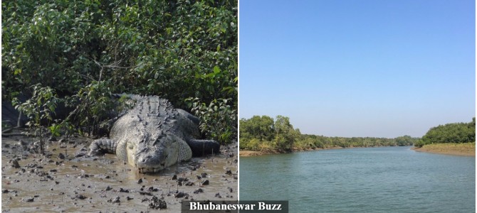 Odisha hopeful of getting World Heritage Tag for Bhitarkanika National Park very soon