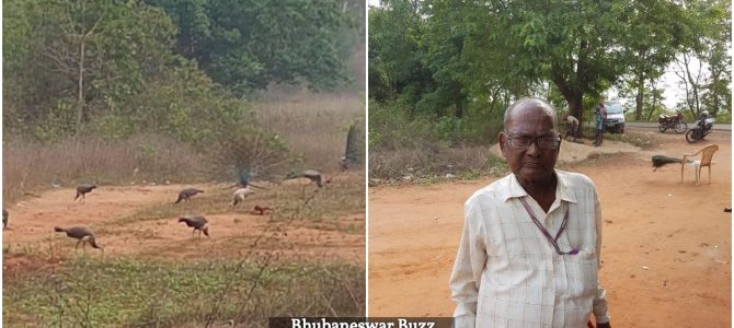 Awesome to see a group formed out of Odia Twitter People arranged Donation for Peacock man of Cuttack