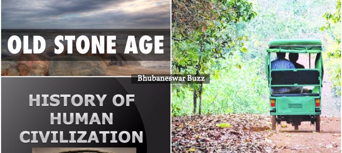 ASI finds Stone Age Civilisation of 4000 years ago near Chandaka Sanctuary bhubaneswar