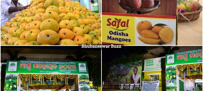 Have time this sunday? How about checking Mango Festival going on in bhubaneswar now