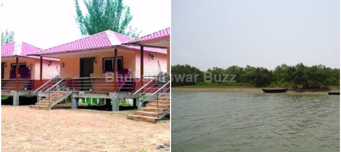 Mangrove Ecotourism project all set to start at Bichitrapur in Odisha Westbengal Border