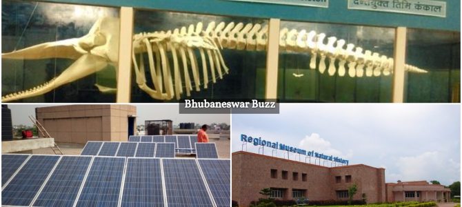 Regional Museum of Natural History bhubaneswar will soon become first museum in the country to generate 199.4 KV electricity by green energy production plant