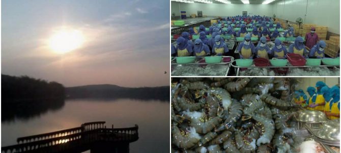 Odisha says it has received Rs 466 crore of investment proposals for Seafood park at Deras