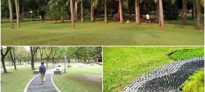 BDA plans to develop acupressure walkway in its parks starting with Biju Pattnaik park in Unit VI