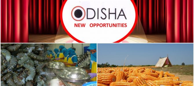 Odisha clears three investment projects worth Rs 864 crore