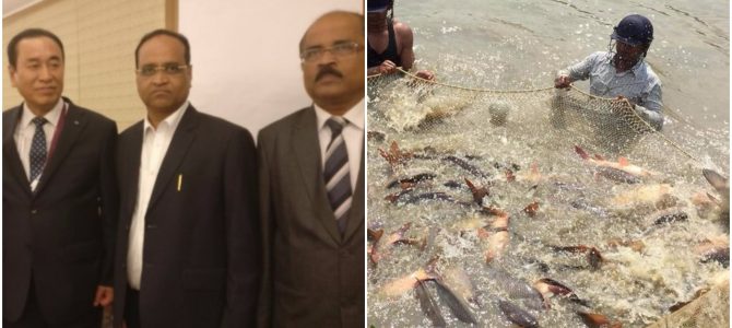 T. Prasad Rao Dora of Odisha elected as Vice Chairman of International Fisheries Cooperative Federation