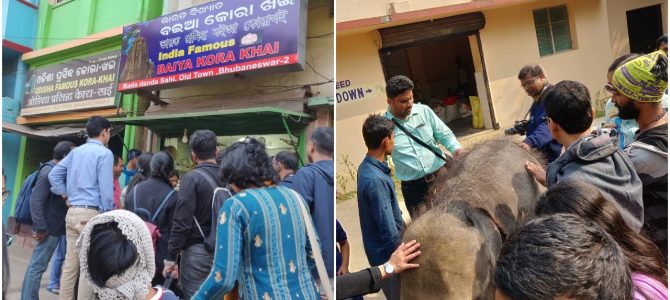 Its raining walks in Bhubaneswar : Starting today City gets two new ones Streets of Ekamra and Nandankanan Park Walk