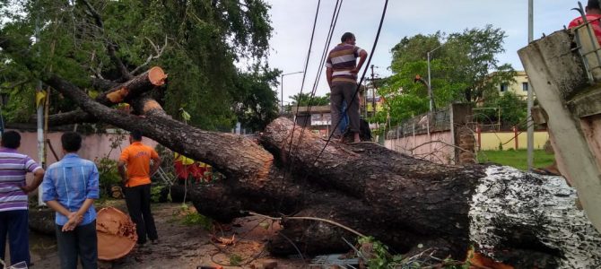 CYCLONE FANI: When The State of Odisha Was DEVASTATED! Yet Again! A blog by Nidhi Lohia